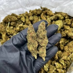Buy London Pound Cake Online | Top Quality Strain For Sale