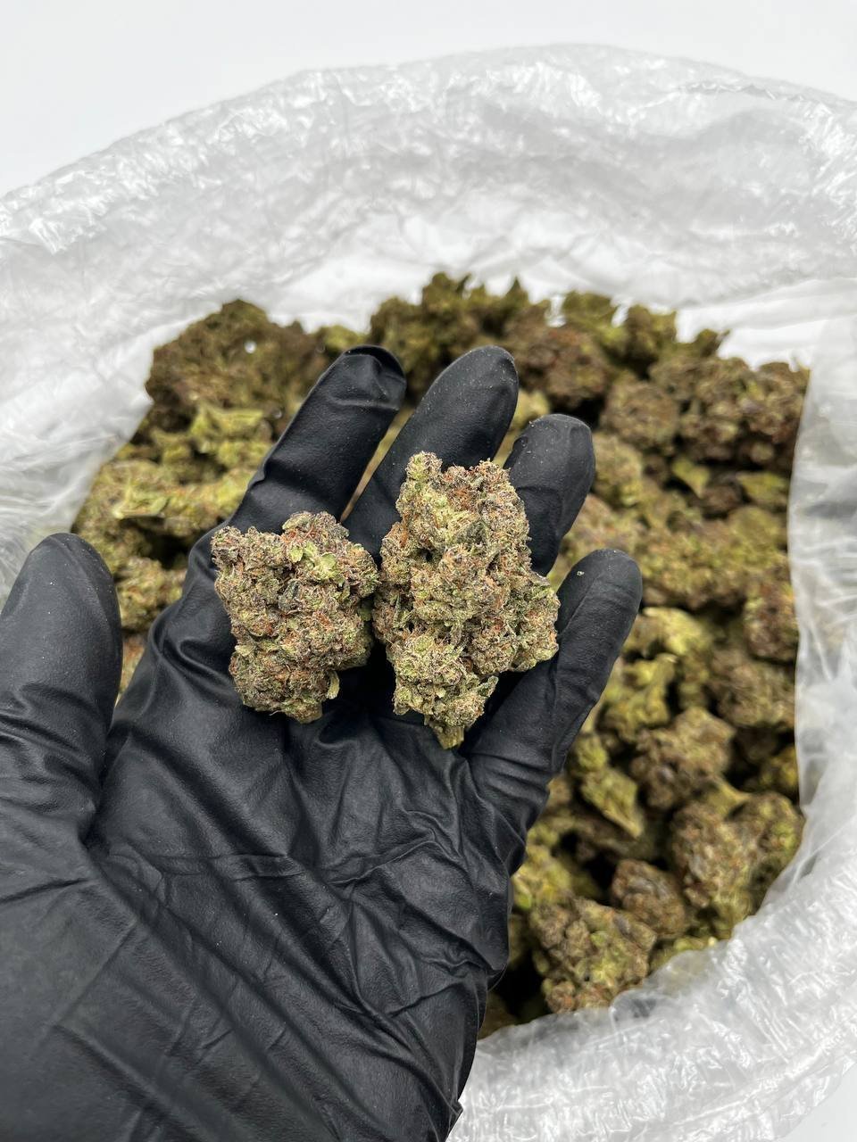 Buy Pink Rose Online | Premium Quality Strain For Sale