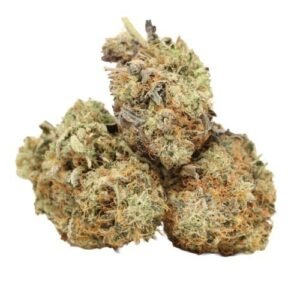 Sundae Driver Shatter | Premium Hybrid Strain | chemsfine